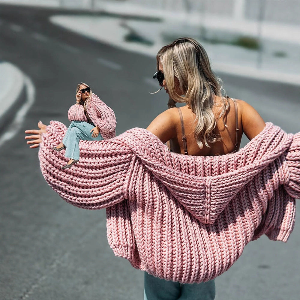 Damen Pullover Grobstrick mit Kapuze für Herbst (2)