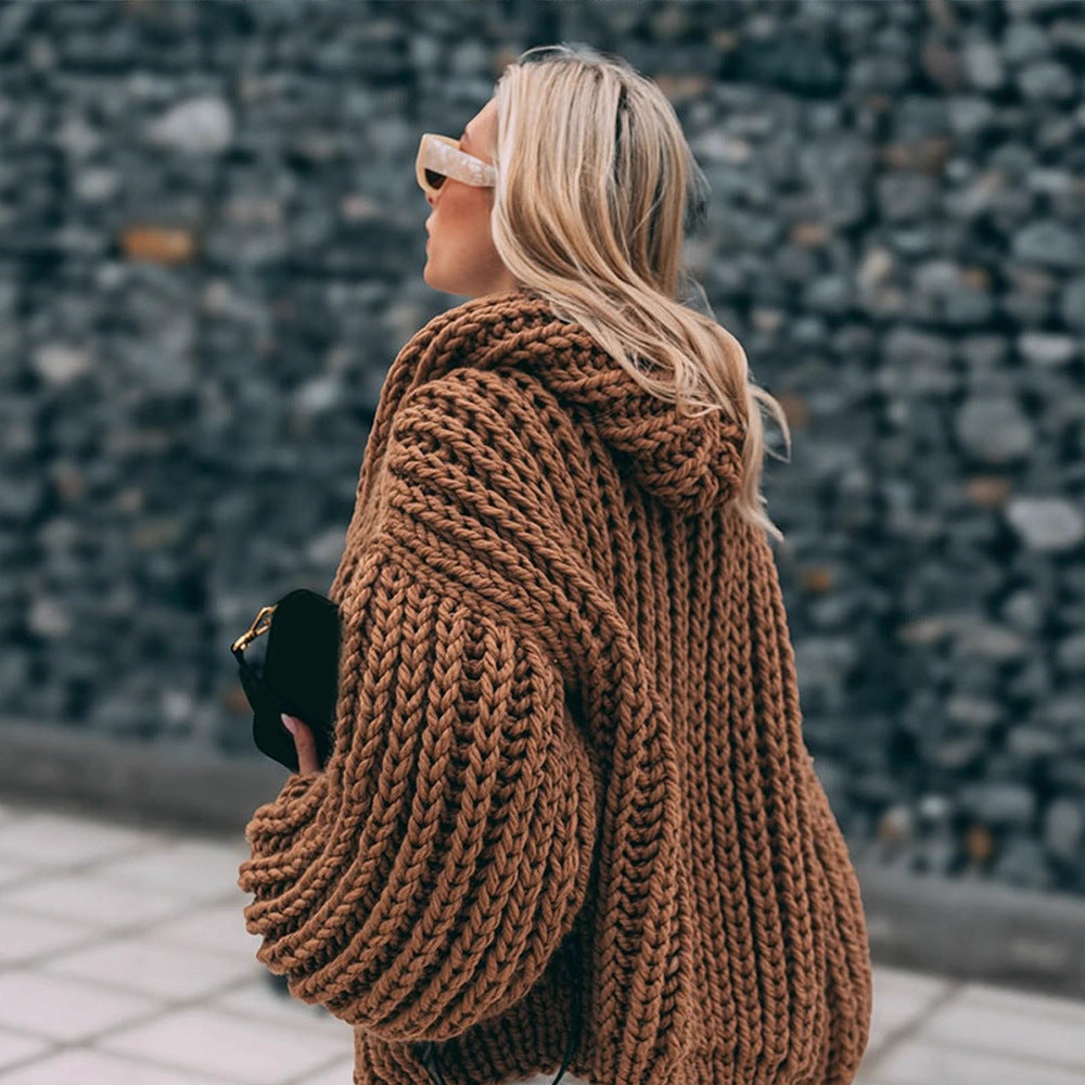 Damen Pullover Grobstrick mit Kapuze für Herbst (4)
